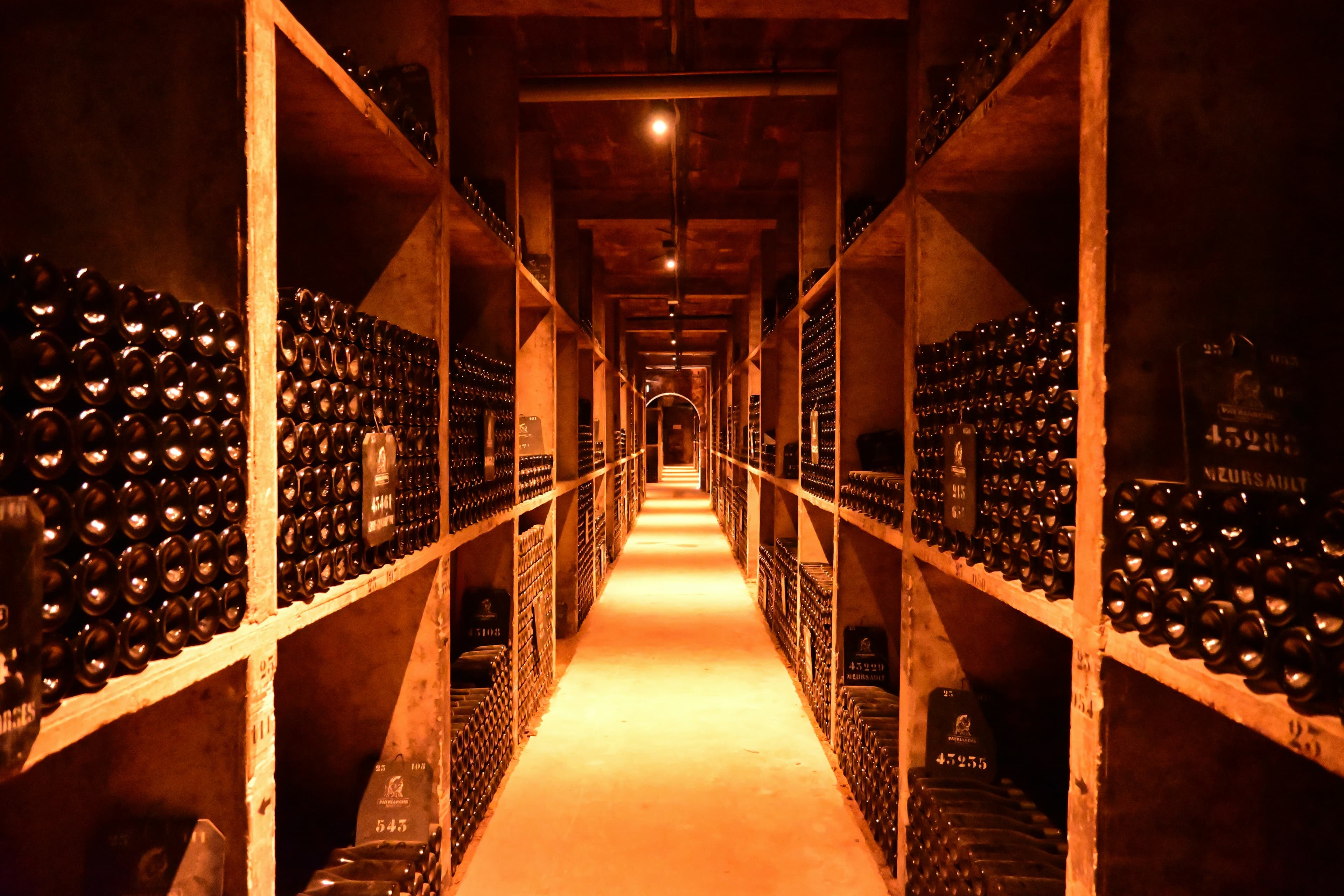 Wine cellar